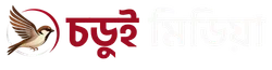 Choroi Media